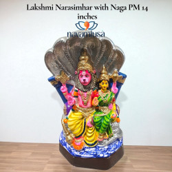 Lakshmi Narasimhar with Naga