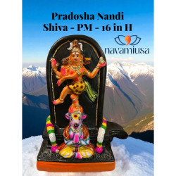 Pradosha Nandi Shiva 