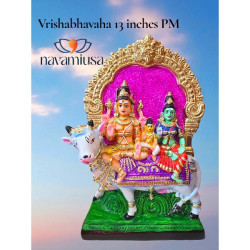 Vrishabhavahana - colored  - medium 