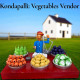 Kondapalli – Vegetables Vendor - Available in 2 colors